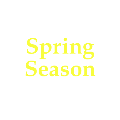 Spring Collection 2021
