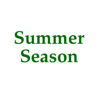 Summer Collection 2021