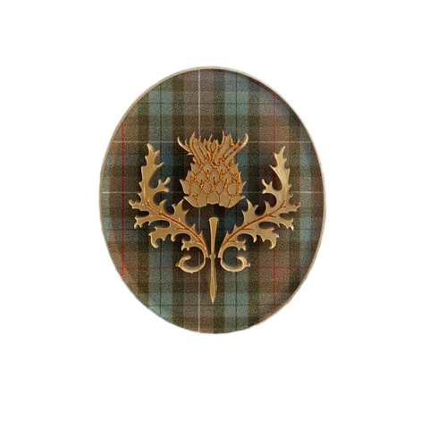 Scottish thistle on clan Fraser tartan - Brooch