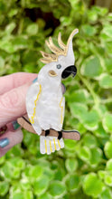Translation missing: en.sections.featured_product.video_thumbnail_alt
