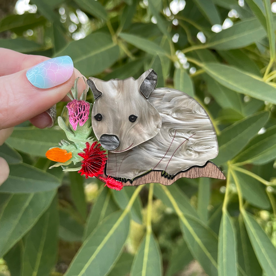 Wombat - Brooch